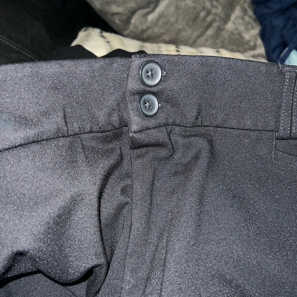 Torrid studio pants extra short